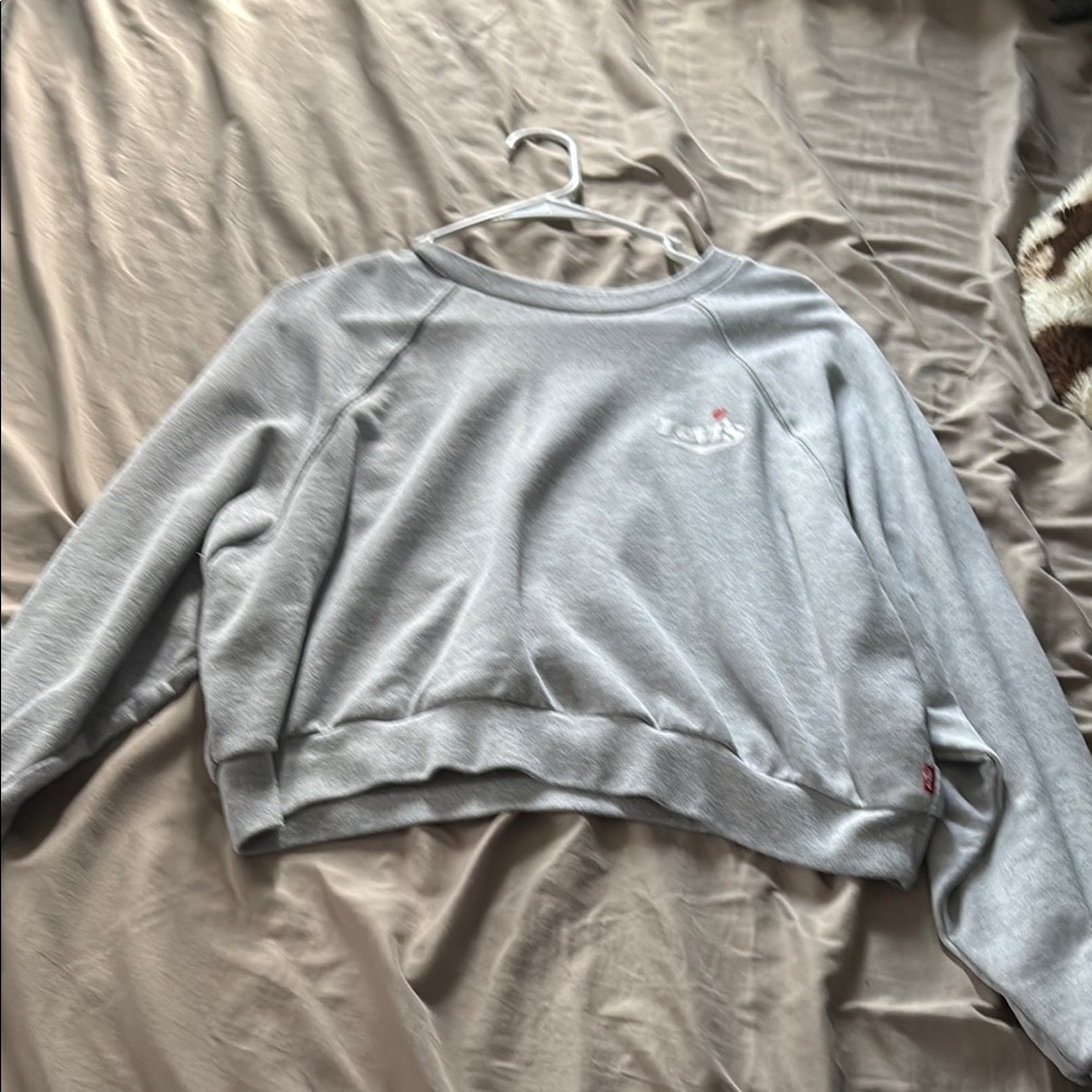 Levi's Gray Long Sleeve Tee